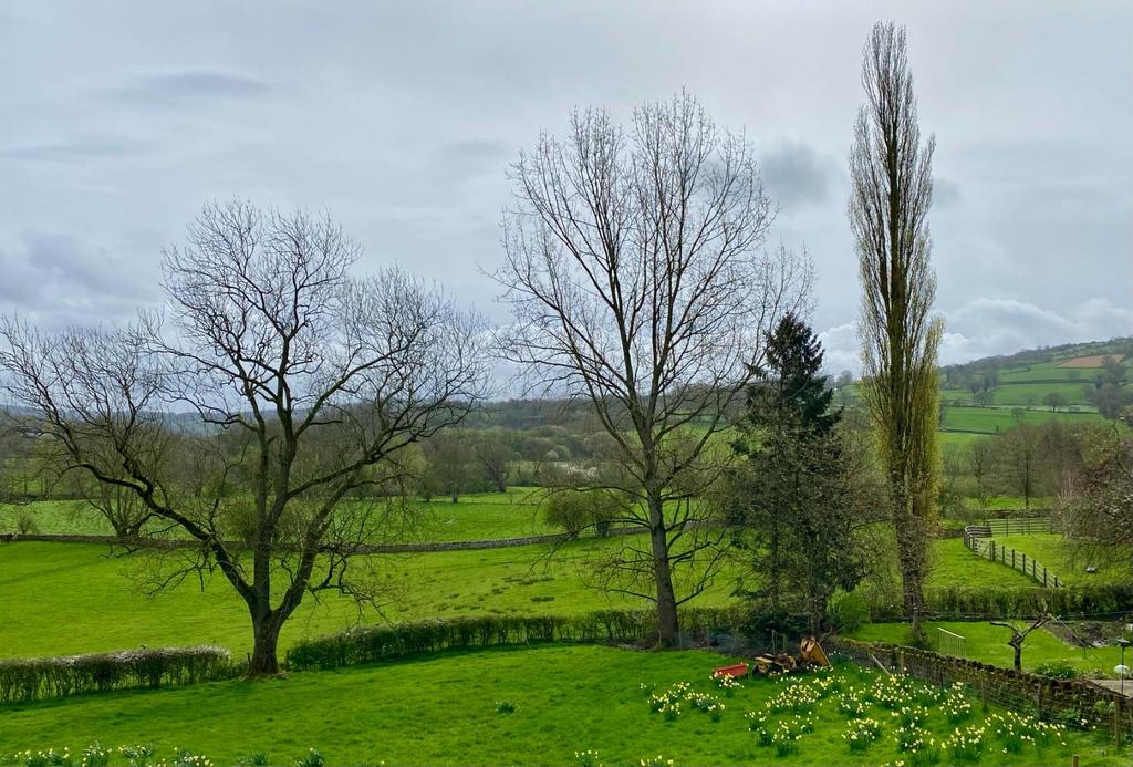 Rose Cottage view iii.jpg