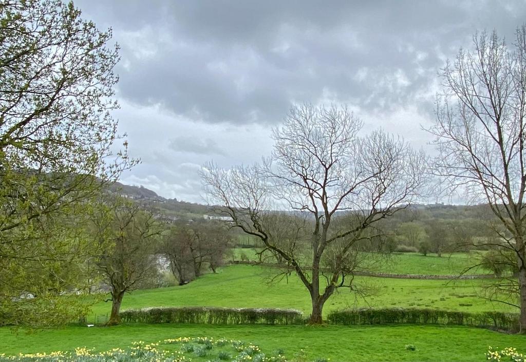 Rose Cottage view.jpg