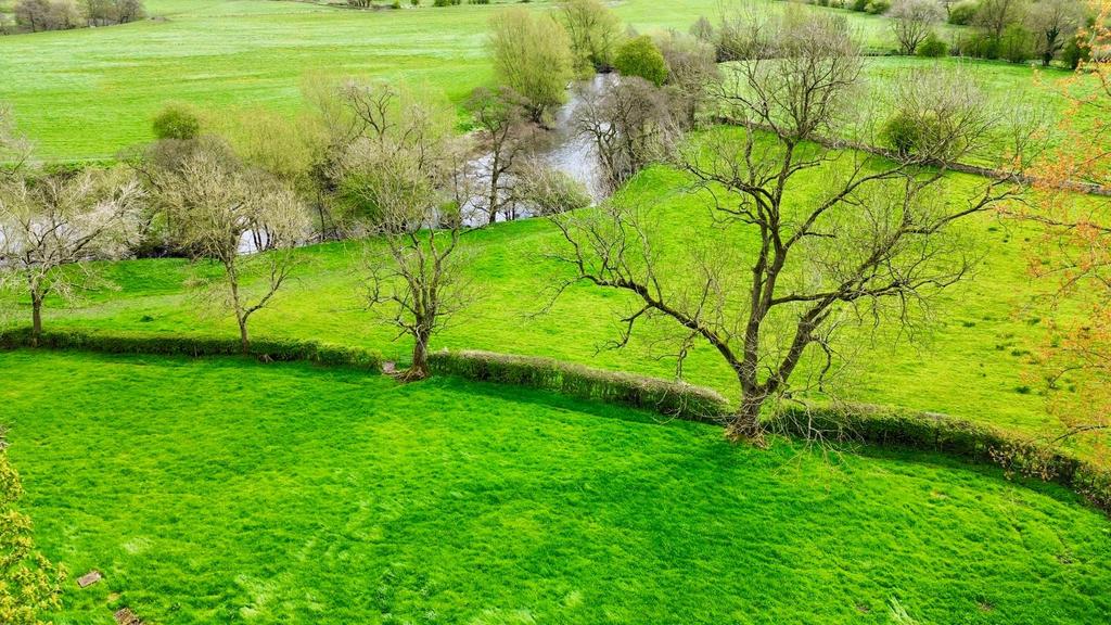 Dji fly 20240419 110724 173 1713433747989 photo op
