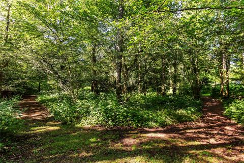 4 bedroom bungalow for sale, Radnor Lane, Holmbury St. Mary, Dorking, Surrey, RH5