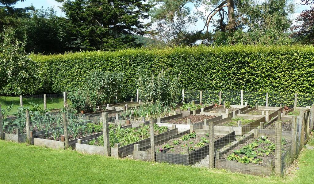 Fruit and vegetable garden