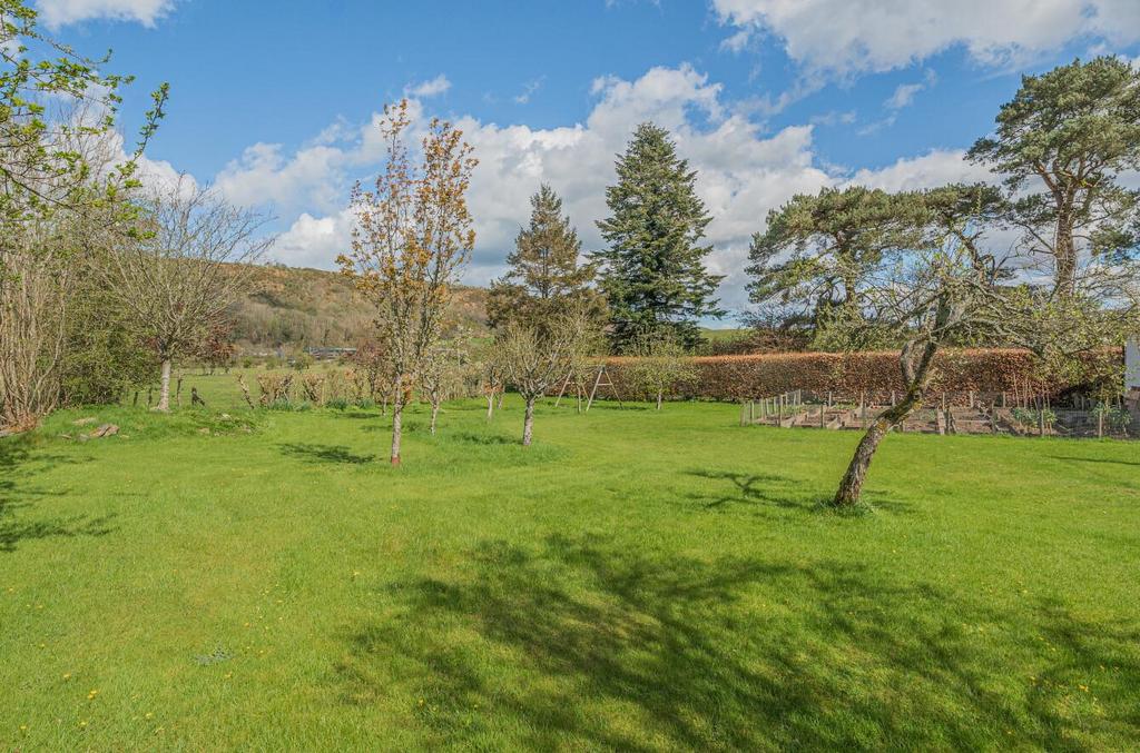 Fruit and vegetable garden