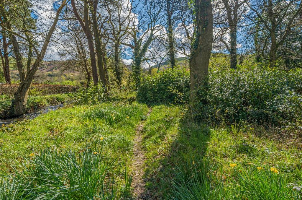 The woodland