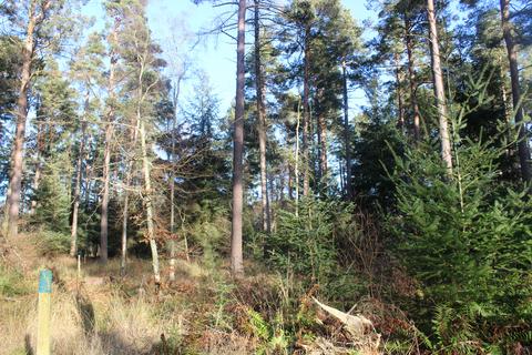 Woodland for sale, GIFFORD, EAST LOTHIAN EH41