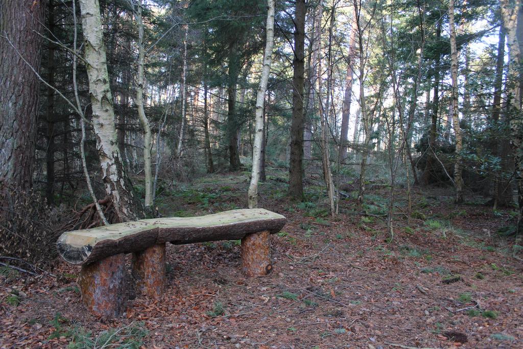 Rustic bench