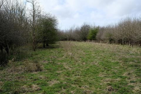 Woodland for sale, Dunsdon Cross, Pancrasweek EX22