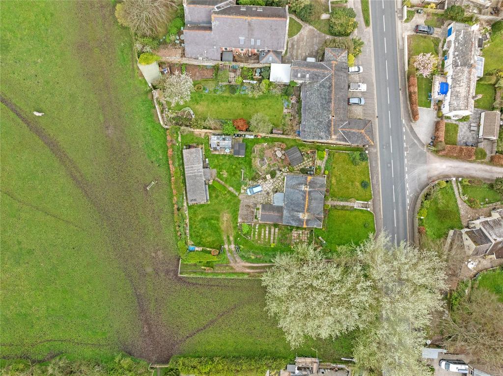 Plot Size
