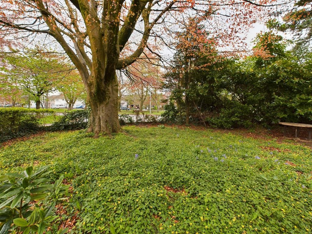 Communal Garden