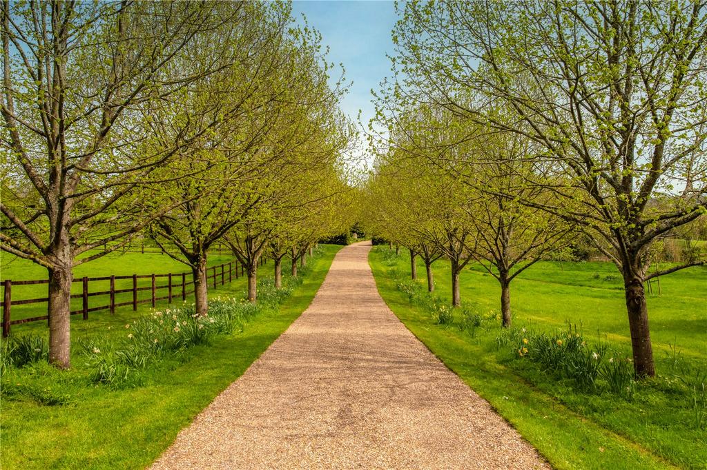 Driveway
