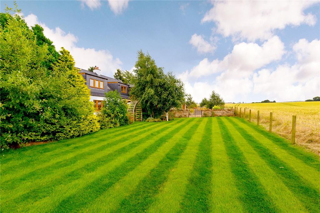 Lawn