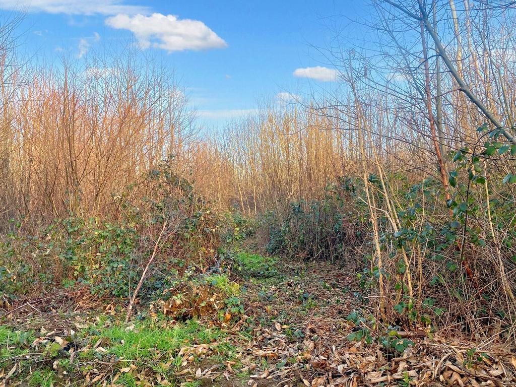 A private walk track to the bench