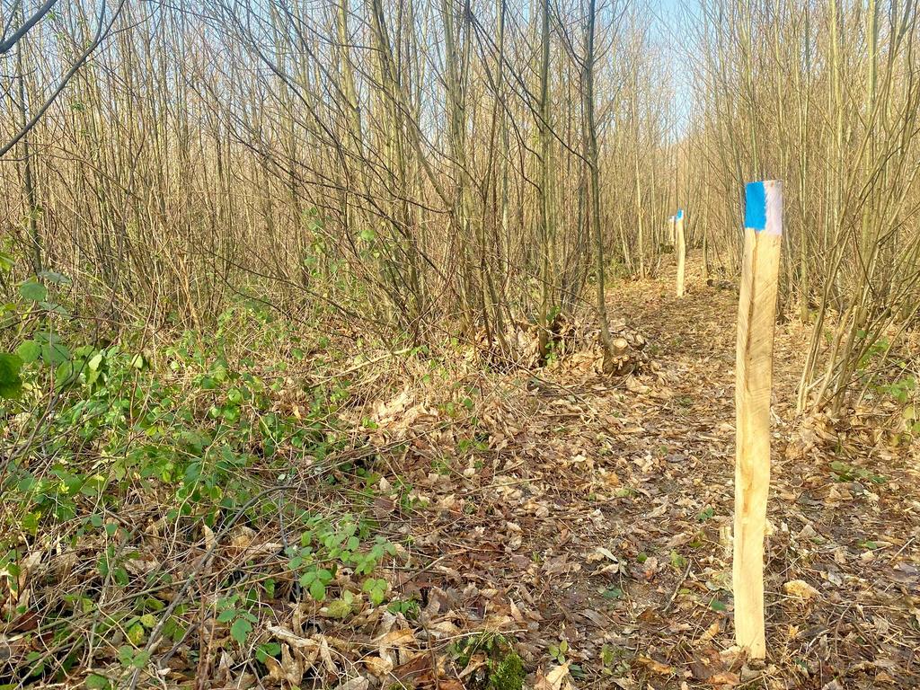 The post line boundary on the north side...