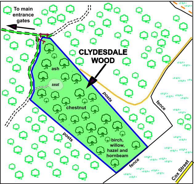 Clydesdale Wood Wood Map