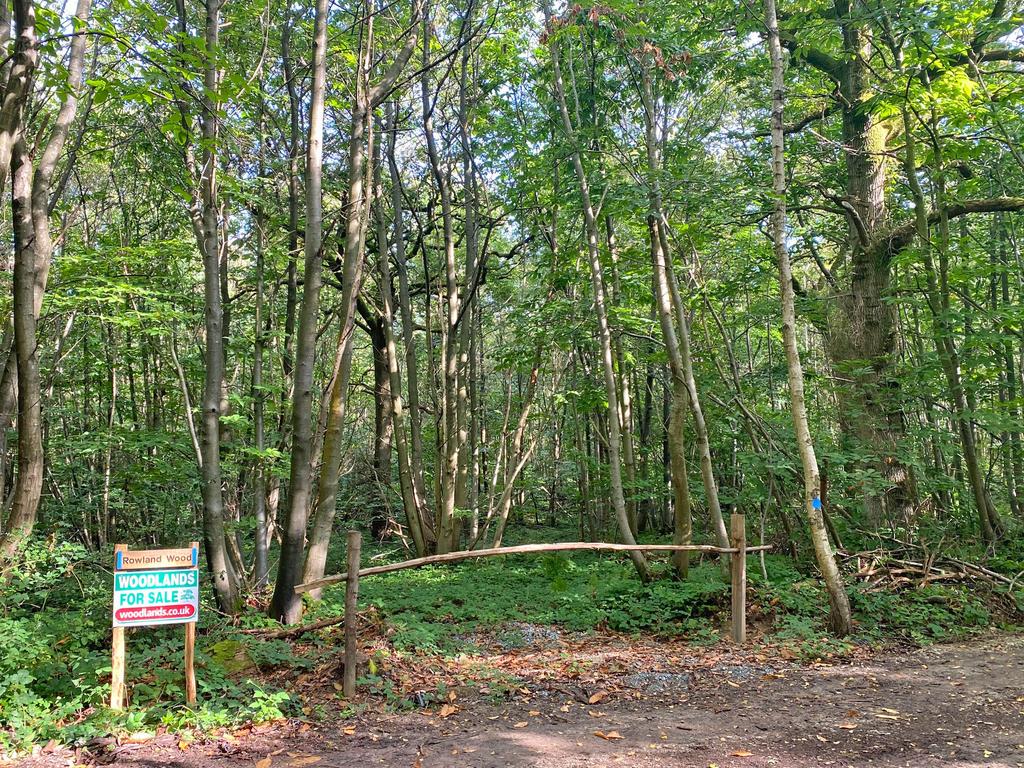 The ride stop entrance to Rowland Wood