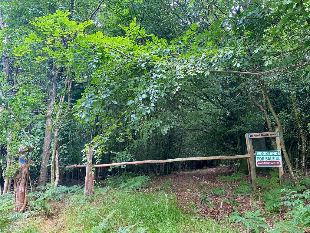 The ride stop entrance to Darwell Down Wood