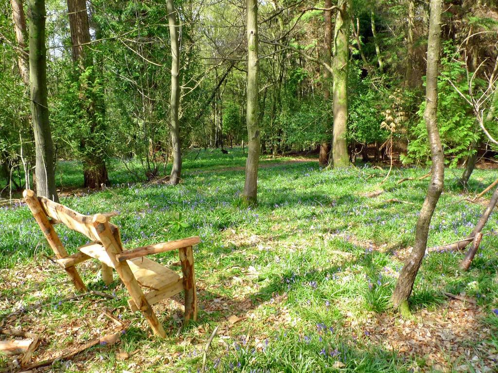 A rustic bench among the bluebells