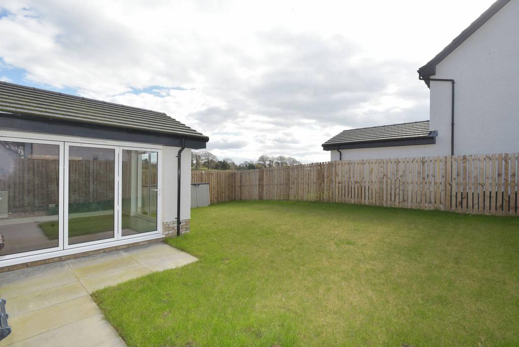 MFL0231582 517.jpg