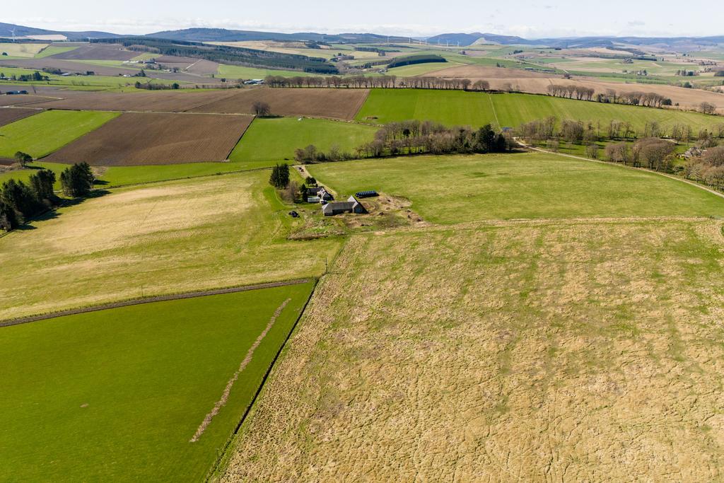 Field
