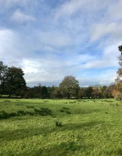 undefined, Thornleygate, Allendale, Northumberland, NE47