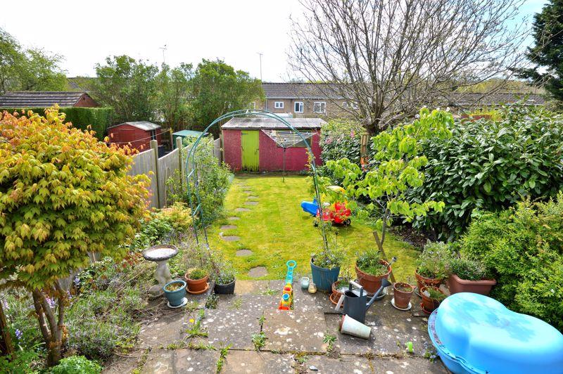 Back garden