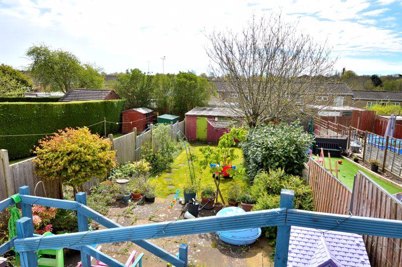 Back garden
