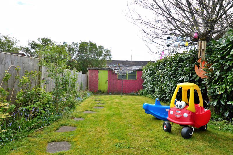 Back garden