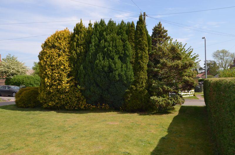 Front garden