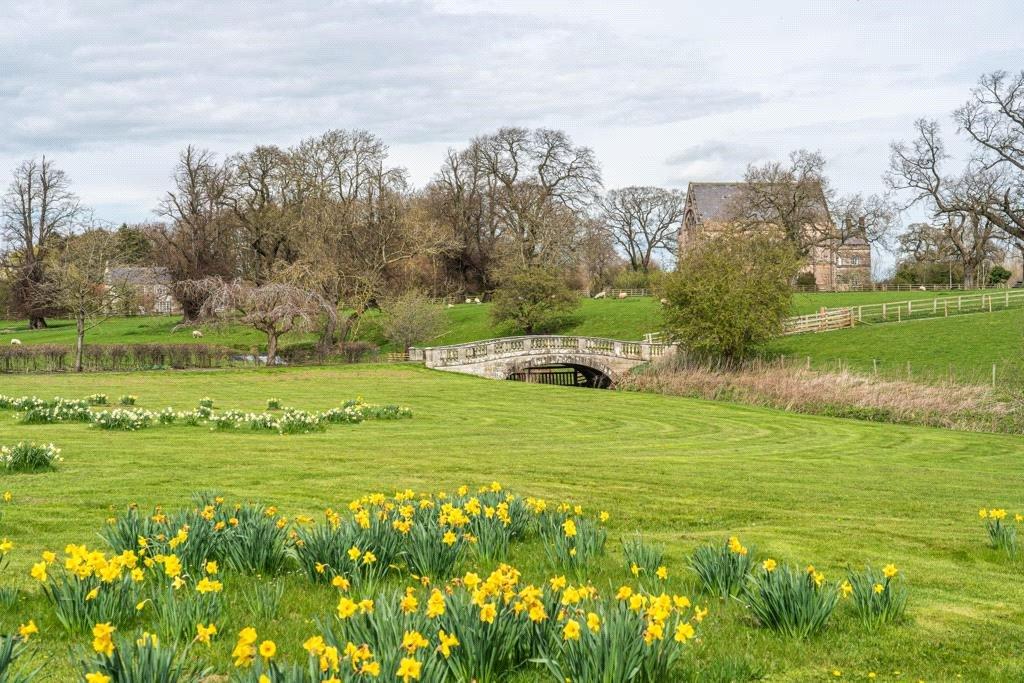 Grounds
