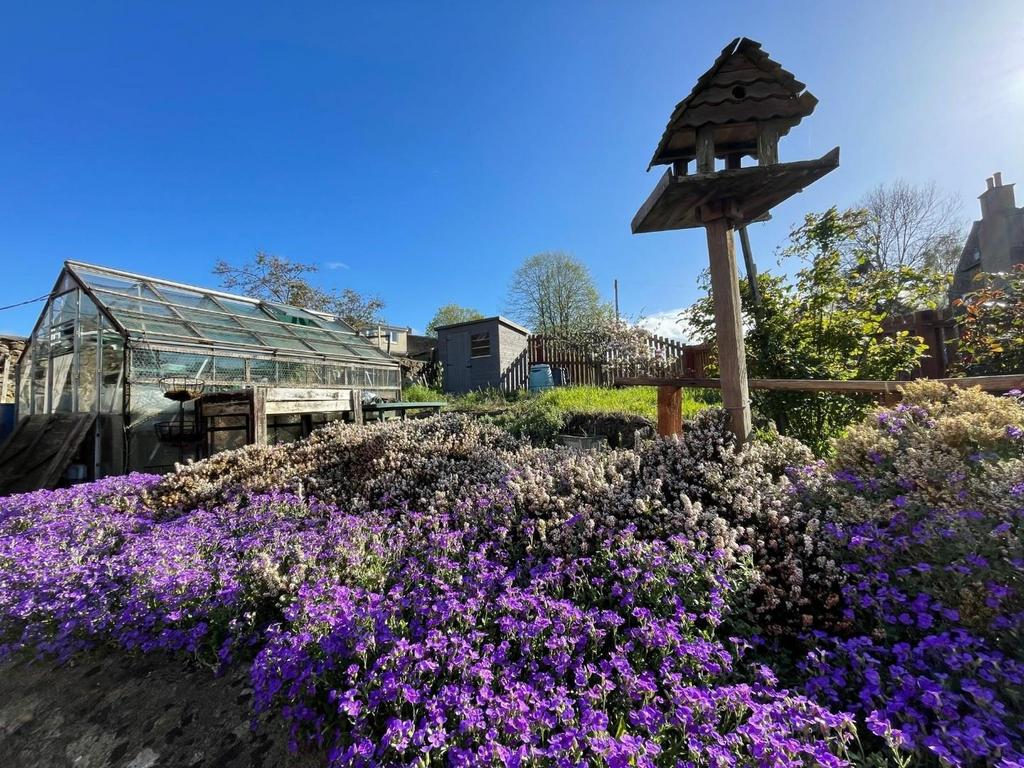 Garden 2.jpg