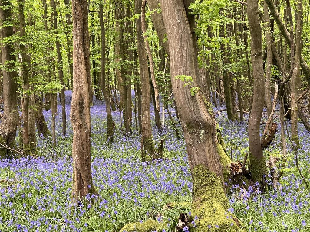 Image00007.jpeg
