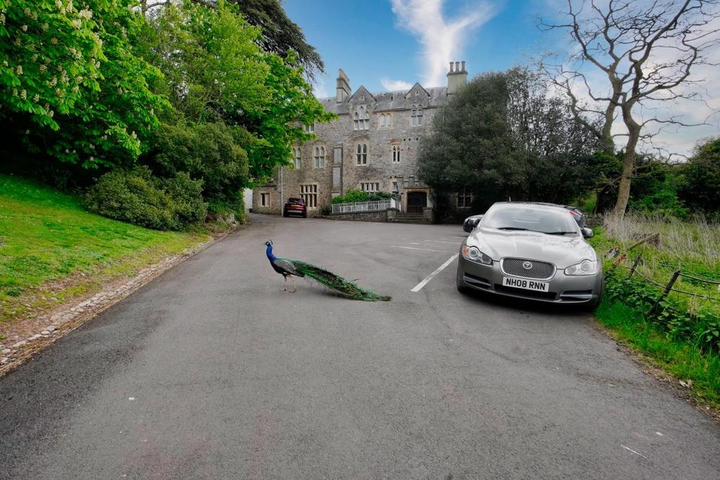 9 - car park.jpeg