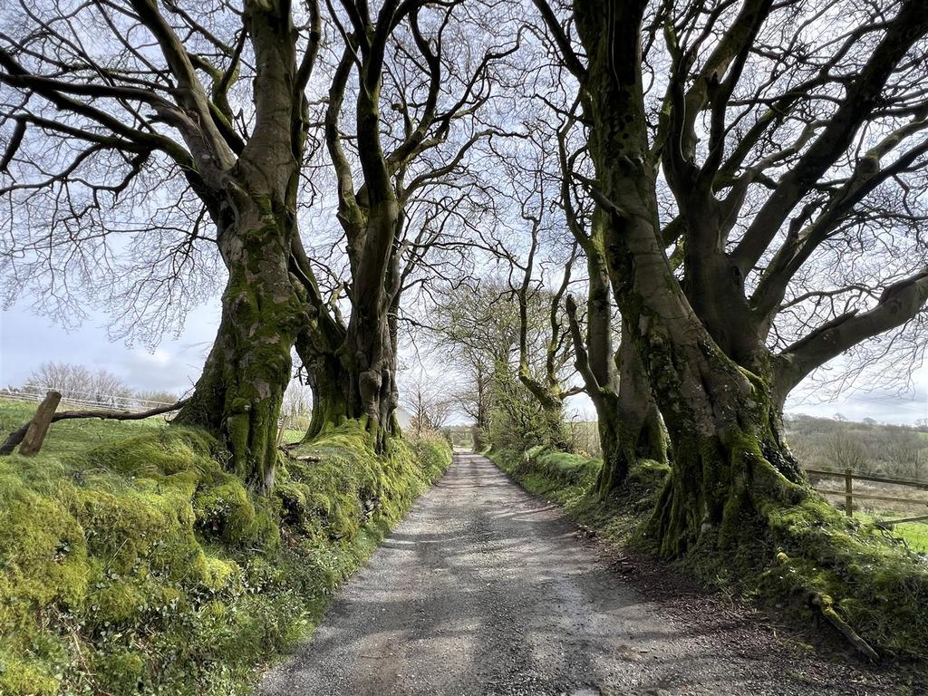 Lane to House