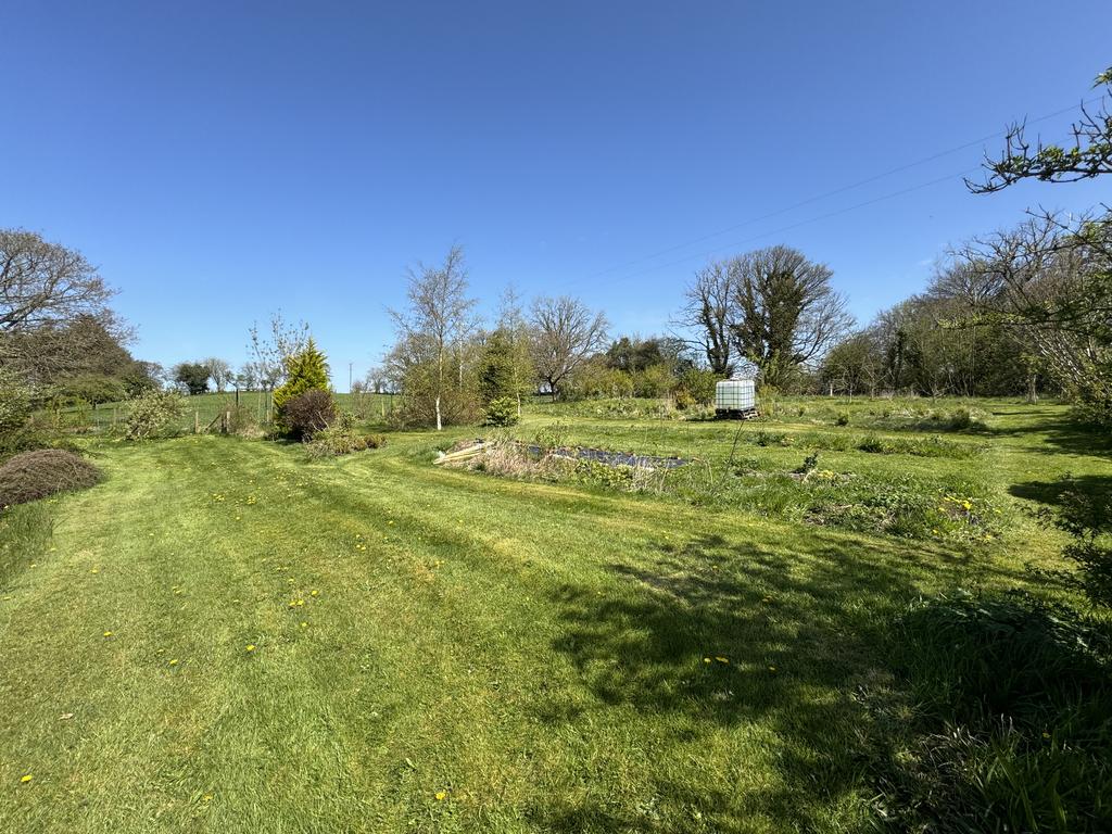 Rear Garden Area