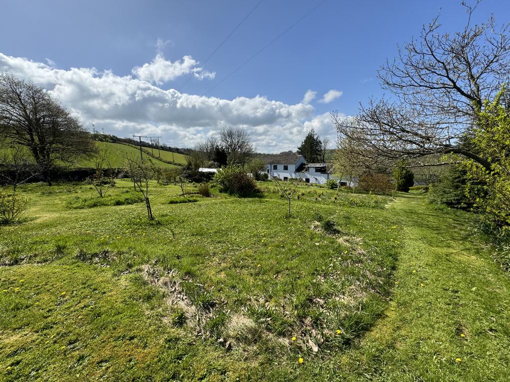 Rear Garden Area