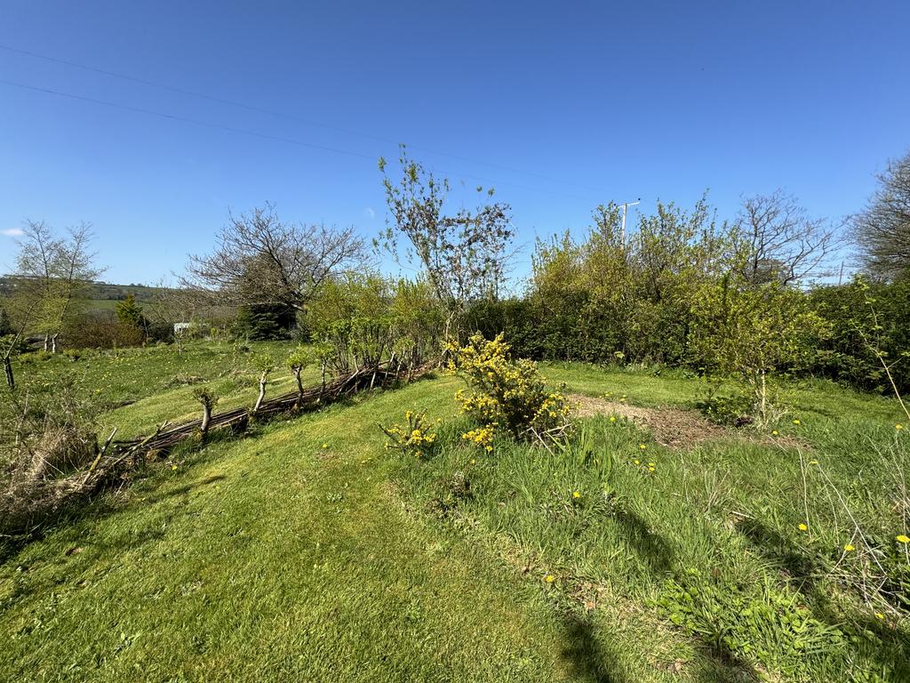 Rear Garden Area