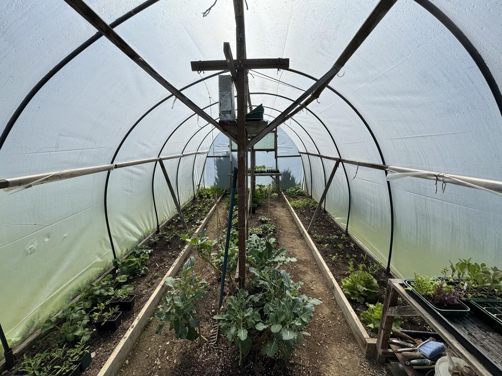 Polytunnel