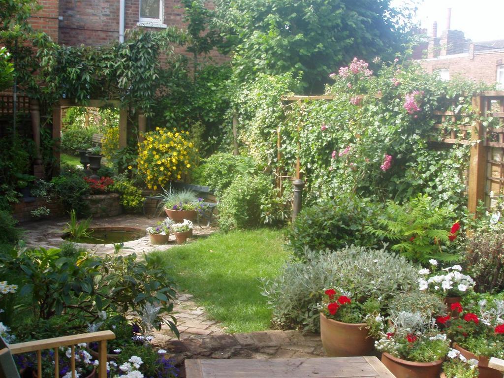 Green garden with pink roses P1010200.JPG