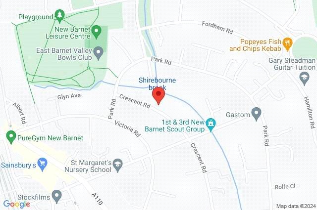 Google Maps Image