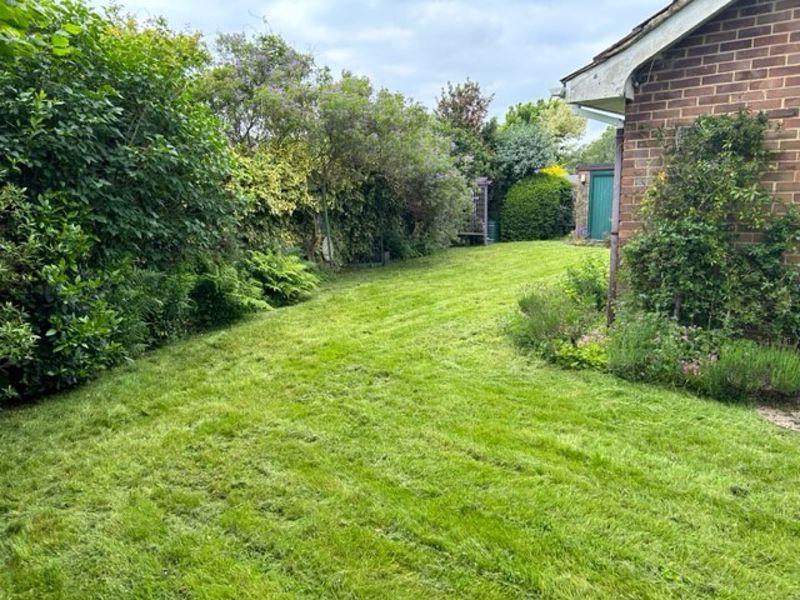 Side garden
