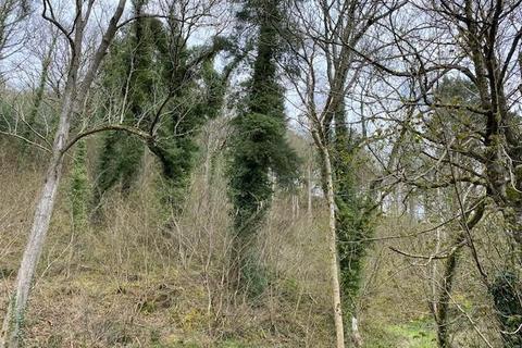 Land for sale, Gogin Wood, Newcastle, Craven Arms