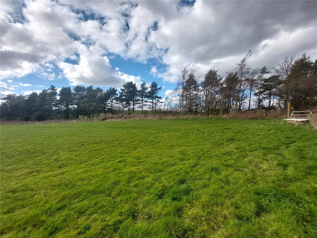 Trimdon Grange, Trimdon Station, TS29 Land for sale £47,000