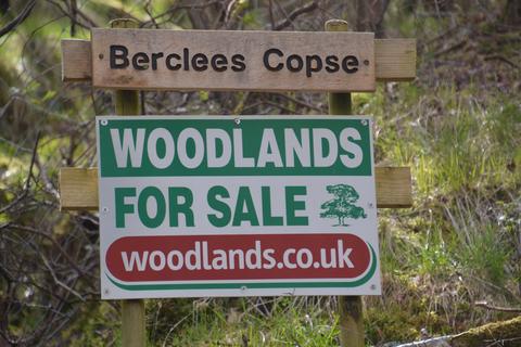 Woodland for sale, WATERBECK, LOCKERBIE DG11