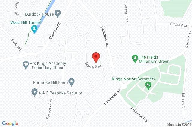 Google Maps Image