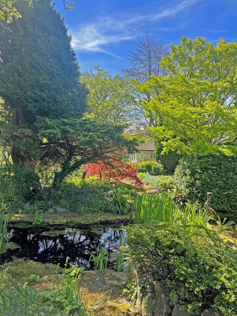 Pond