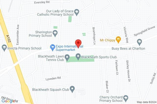 Google Maps Image