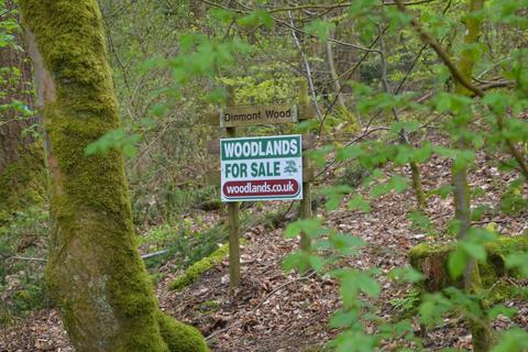 Woodland for sale, BRAMPTON, CUMBRIA CA8