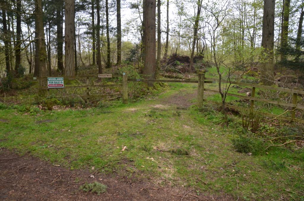 Ridestop entrance