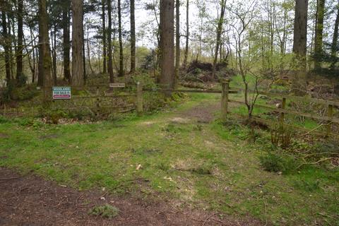 Woodland for sale, BRAMPTON, CUMBRIA CA8