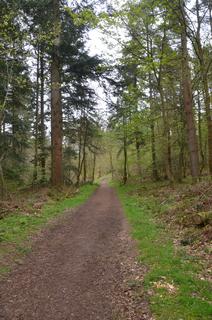 Woodland for sale, BRAMPTON, CUMBRIA CA8