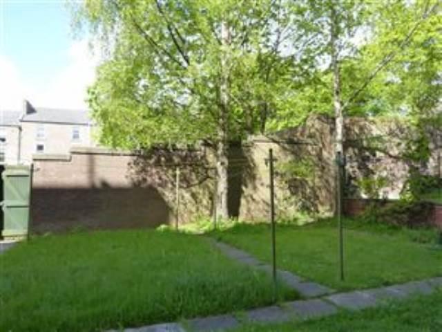 Back Garden